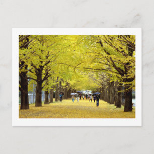 Carte Postale Ginkgo Trees : Parc Showa Kinen, Tokyo