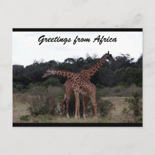 Carte Postale girafe croix amour