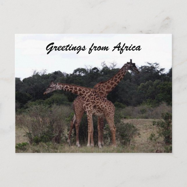 Carte Postale girafe croix salutations (Devant)