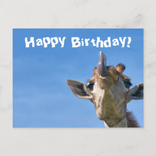 Carte Postale Girafe Drôle Joyeux Anniversaire