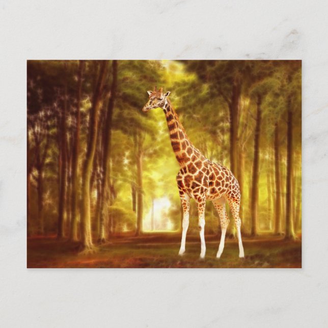 Carte Postale Giraffe (Devant)
