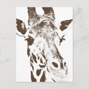 Carte Postale Giraffe