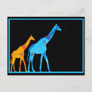 Carte postale Giraffe