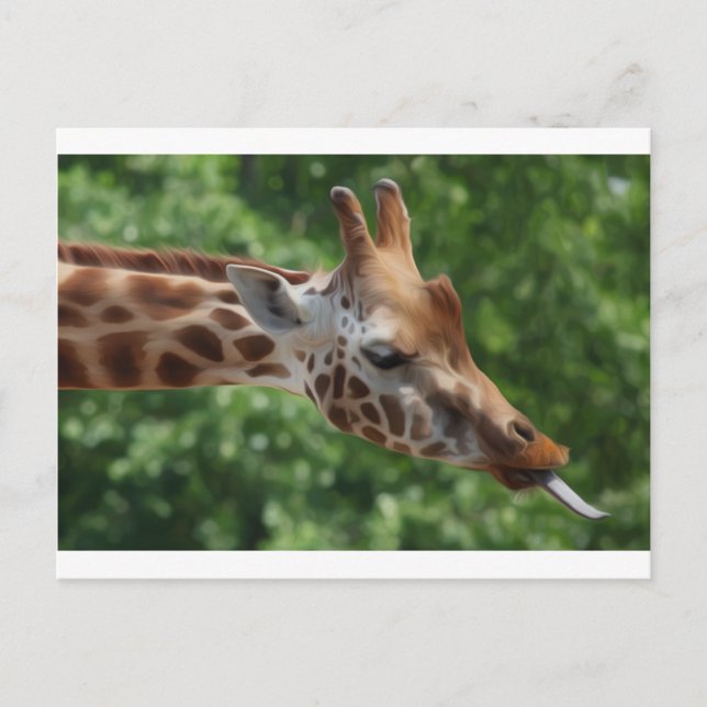 Carte Postale Giraffe (Devant)