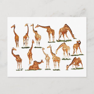 CARTE POSTALE "GIRAFFE"