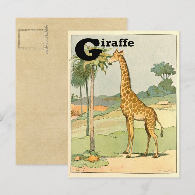 Carte Postale Giraffe Alphabet animal (Devant / Derrière)
