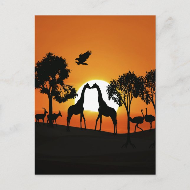 Carte Postale Giraffe au coucher du soleil (Devant)