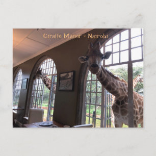 Carte Postale Giraffe au Manoir de la Giraffe à Nairobi