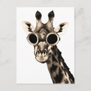 Carte Postale Giraffe Avec Lunettes De Soleil Steampunk Lunettes