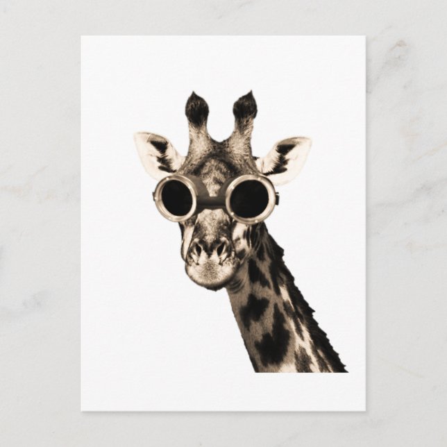 Carte Postale Giraffe Avec Lunettes De Soleil Steampunk Lunettes (Devant)