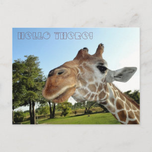 Carte postale Giraffe / Bonjour là !