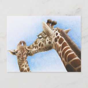 Carte postale Giraffe & Calf