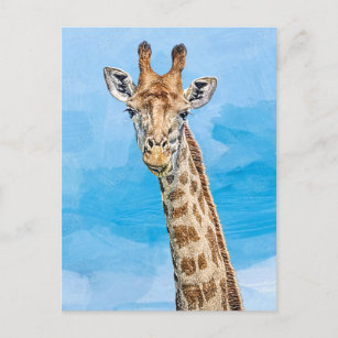 Carte Postale Giraffe curieuse