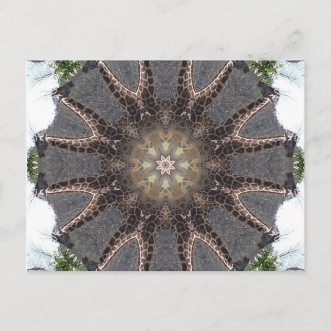 Carte Postale Giraffe Mandala (Devant)