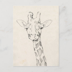 Carte Postale Giraffe Portrait   Croquis