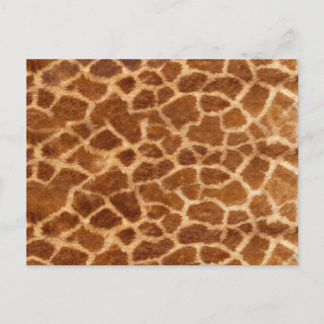 Carte Postale Giraffe Skin (Devant)