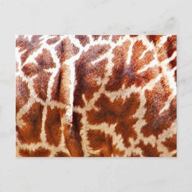 Carte Postale Giraffe Skin_ (Devant)