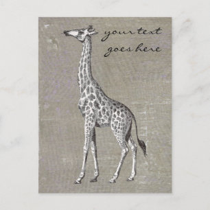 Carte Postale Giraffe vintage