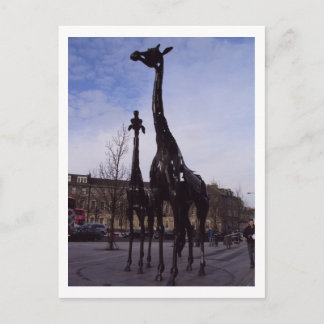 Carte postale Giraffes d'Édimbourg