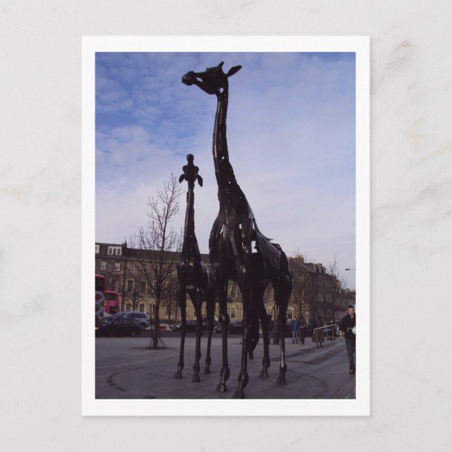 Carte postale Giraffes d'Édimbourg (Devant)