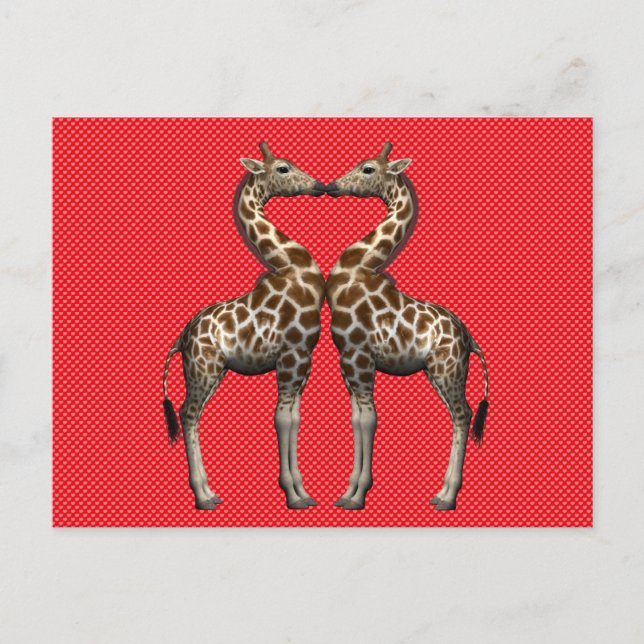 Carte Postale Giraffes Douce Couple En Amour (Devant)