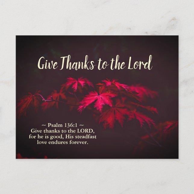 Carte Postale Give Thanks to the Lord, Inspiration Bible Verse (Devant)