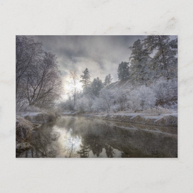 Carte Postale Givre le long d'un bras mort à Kelly Island (Devant)