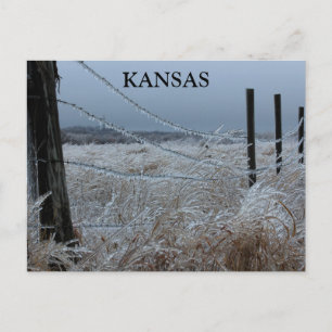 Carte Postale Glace du Kansas sur une clôture