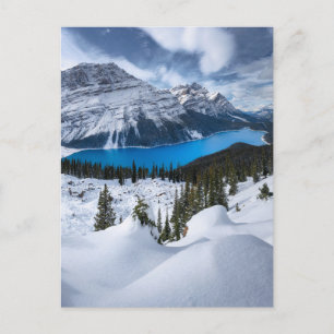 Carte Postale Glace et neige   Lac Peyto, Rocheuses canadiennes