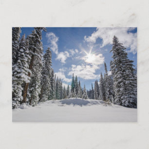 Carte Postale Glace et neige   Sunrise Winter Snow Alberta, Cana