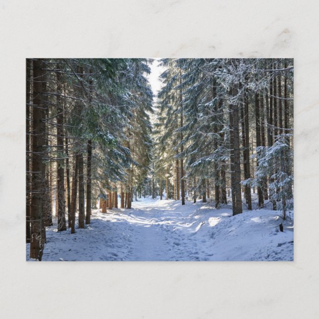Carte Postale Glace et neige | Tatra Mountains, Pologne (Devant)