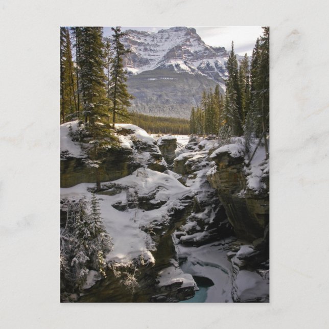 Carte Postale Glace & Neige | Parc national Jasper Alberta, Cana (Devant)