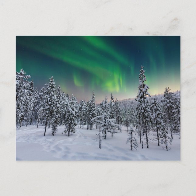 Carte Postale Glace & Neige | Paysage d'hiver, Finlande (Devant)