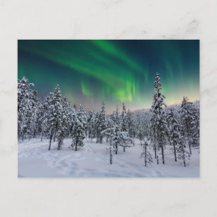 Carte Postale Glace & Neige   Paysage d'hiver, Finlande