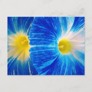 Carte Postale glaces matinales