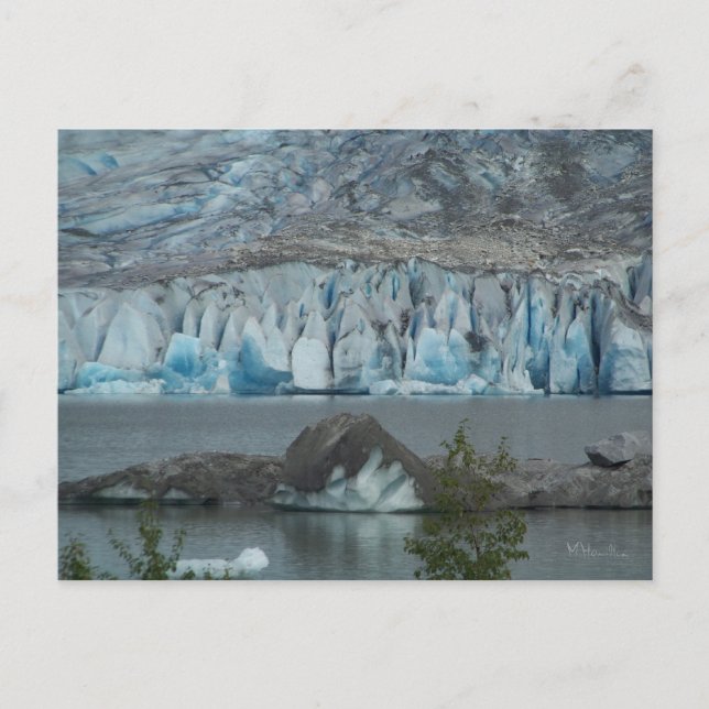 Carte Postale Glacier de l'Alaska (Devant)