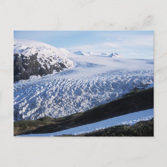 Carte Postale Glacier Exit dans le parc national des fjords de K (Devant)