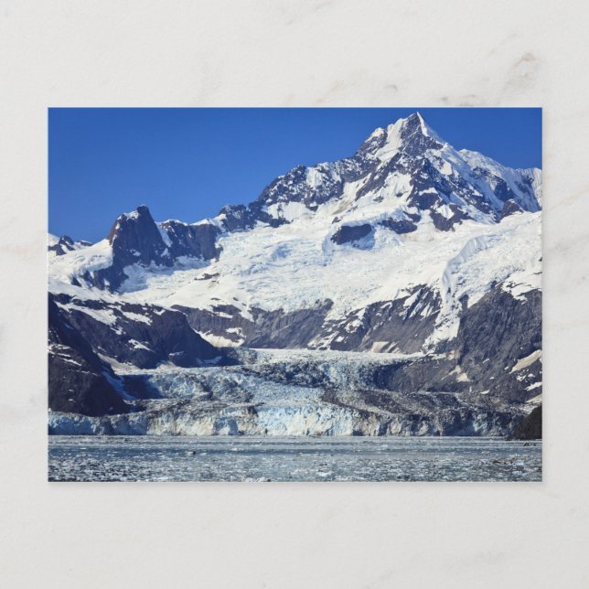 Carte Postale Glacier Johns Hopkins dans le parc national Glacie (Devant)