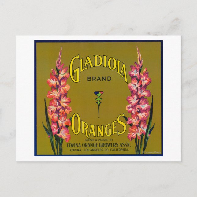 Carte Postale Gladiola Marque Citrus Étiquette (Devant)