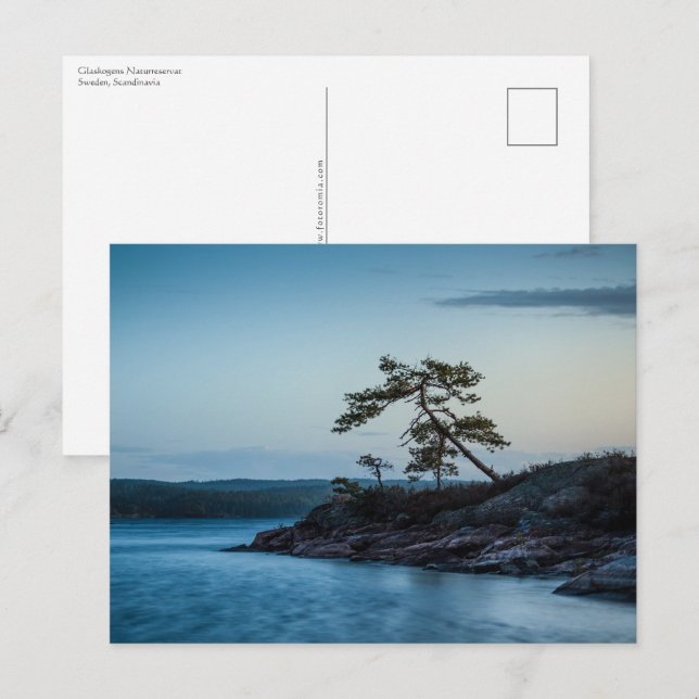 Carte Postale Glaskogen Suède (Devant / Derrière)