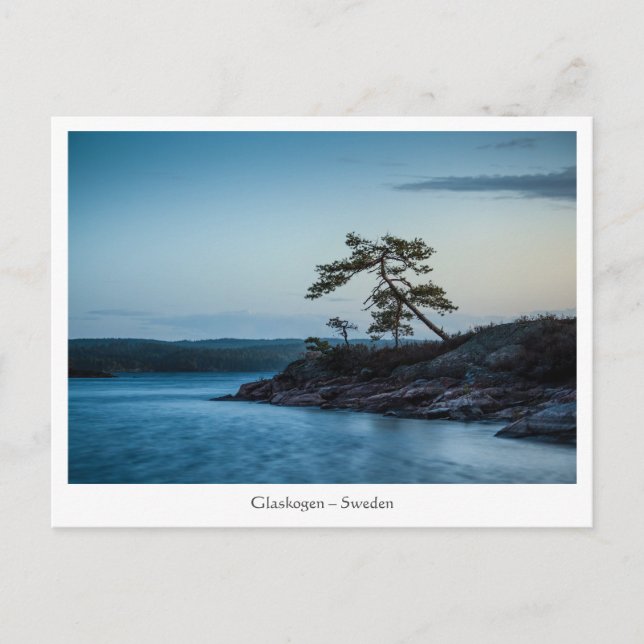 Carte Postale Glaskogen Suède (Devant)