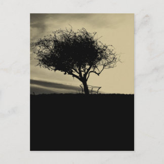 Carte Postale Glastonbury Hawthorn. Arbre sur Hill. Couleur Sepi