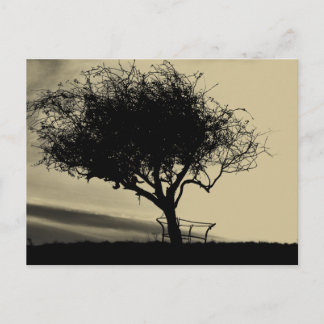 Carte Postale Glastonbury Hawthorn. Arbre sur Hill. Couleur Sepi