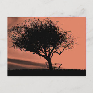 Carte Postale Glastonbury Hawthorn. Arbre sur Hill. Noir orange.