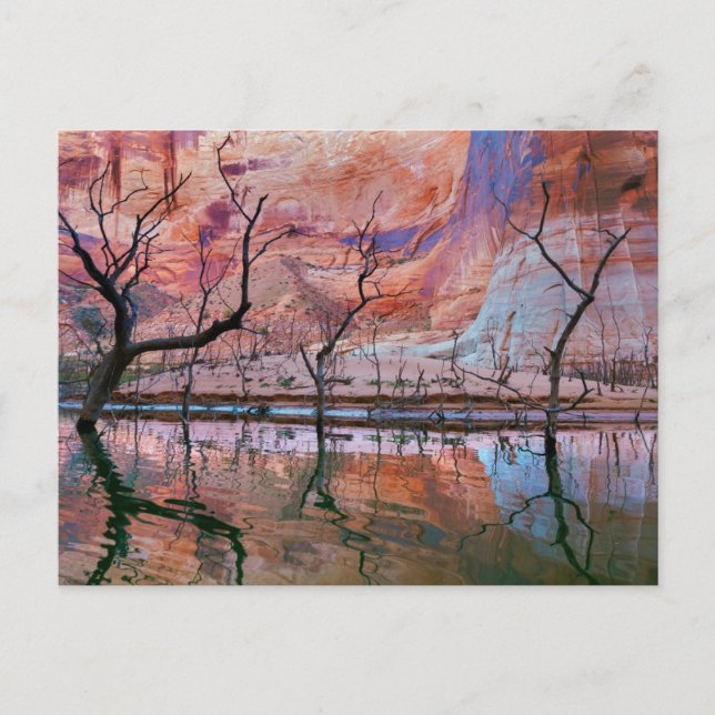 Carte Postale Glen Canyon National Recreation Area, Utah (Devant)