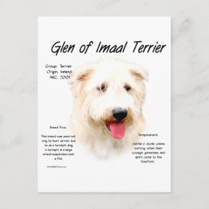 Carte Postale Glen of Imaal Terrier History Design