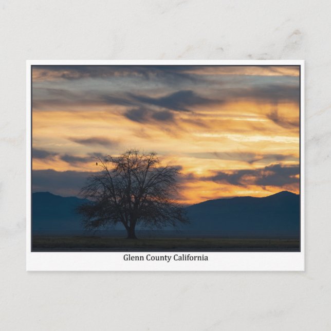 Carte Postale Glenn County California Sunset Postcard (Devant)