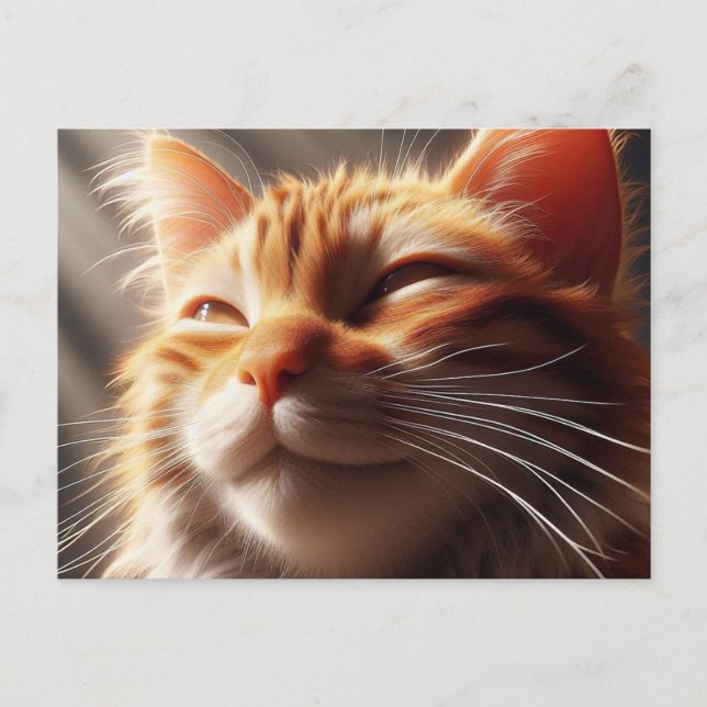 Carte Postale Glorieux chat orange ! (Devant)