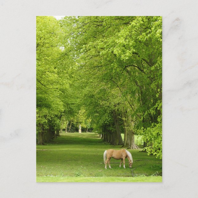 Carte Postale Gloucestershire, UK (Devant)