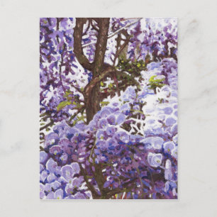 Carte Postale Glycines bleues 2011
